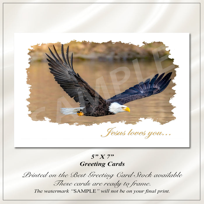 Eagle