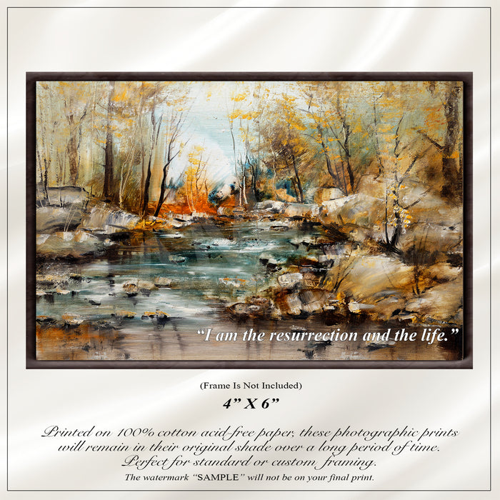 Forest Brook Oil