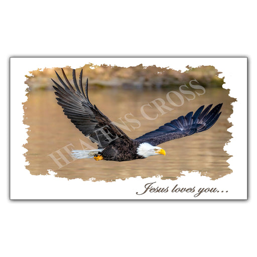 Eagle Post Card