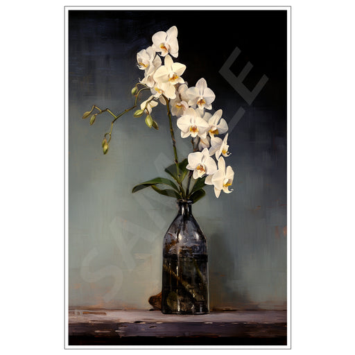White Orchids