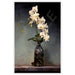 White Orchids