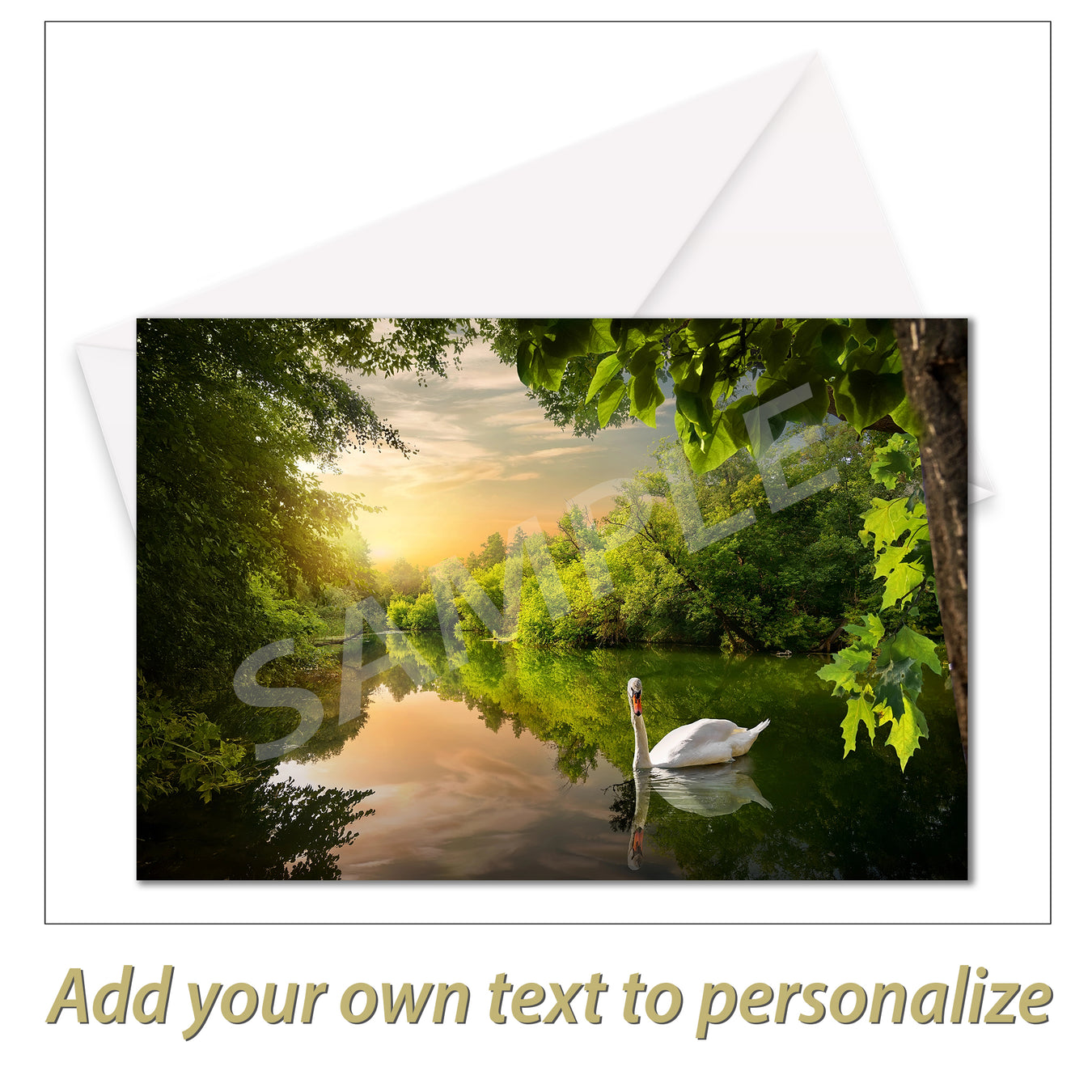 Greeting Cards